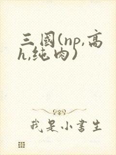 三国(np,高h,纯肉)