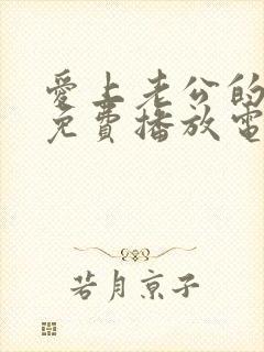 爱上老公的爸爸免费播放电视剧