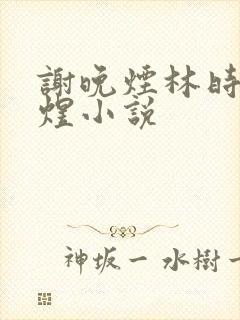 谢晚烟林时川沈煜小说