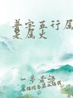 普字五行属水还是属火