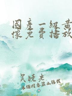 国产一级黄色录像免费播放