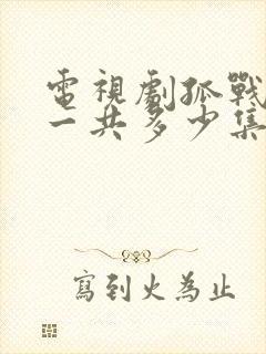 电视剧孤战迷城一共多少集