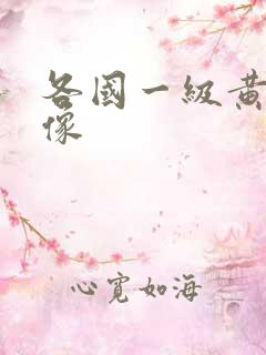 各国一级黄色录像