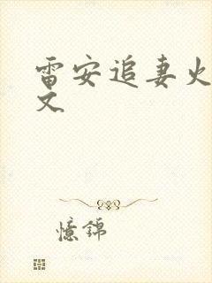 雷安追妻火葬场文