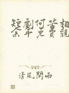 短剧何苦相思煮余年免费观看