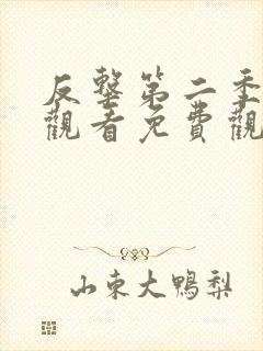 反击第二季在线观看免费观看完整版