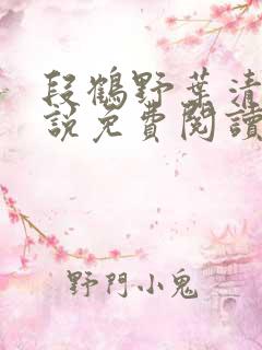 段鹤野叶清璃小说免费阅读最新章节