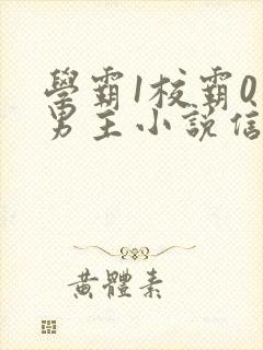 学霸1校霸0双男主小说信息素