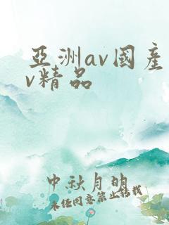 亚洲av国产av精品