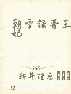 朝雪录晋王与瑾妃