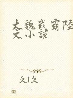 大魏武霸陆泽全文小说