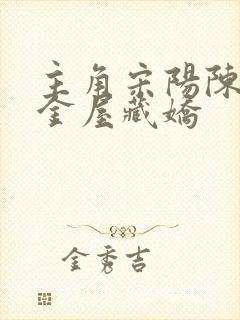 主角宋阳陈丽珍金屋藏娇