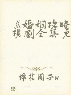 《婚姻攻略》电视剧全集免费