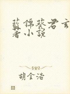 蓝锦葵君玄渊原著小说