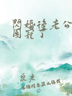 闪婚后老公全家团宠了