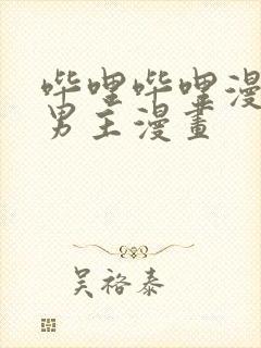 哔哩哔哩漫画双男主漫画