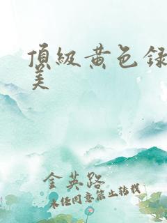 顶级黄色录像欧美