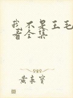 我不是王毛免费看全集