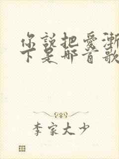 你说把爱渐渐放下是哪首歌的歌词