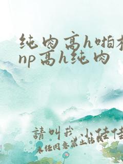 纯肉高h啪校园np高h纯肉