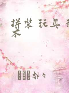 拼装 玩具 积木