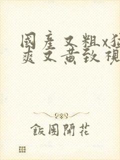 国产又粗x猛又爽又黄致视频