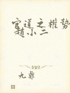 官道之权势滔天 赵小二