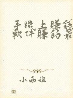 手机上赚钱哪个软件赚的最快