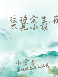 往后余生,再也不见小说