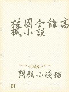 校园全能高手季枫小说