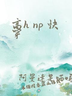 高h np 快穿