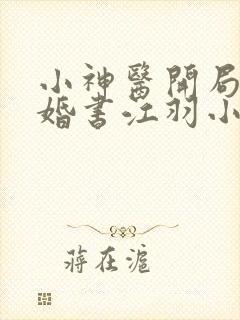 小神医开局九张婚书江羽小说最新