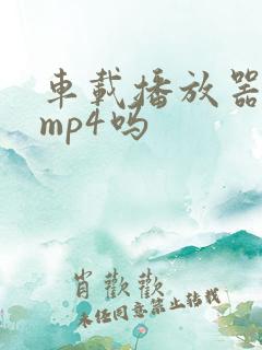 车载播放器支持mp4吗