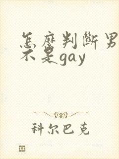 怎么判断男的是不是gay