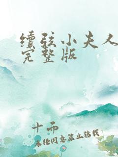 续弦小夫人小说完整版