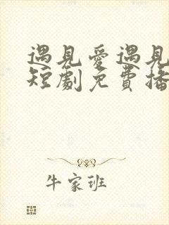 遇见爱遇见幸福短剧免费播放第1集