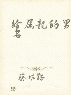 给属龙的男孩取名