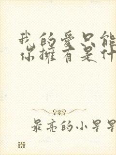 我的爱只能够让你拥有是什么歌