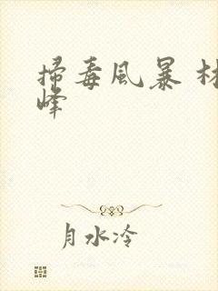 扫毒风暴 林强峰