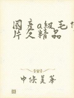 国产a级毛伊人片久精品