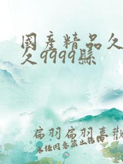 国产精品久久久久9999县