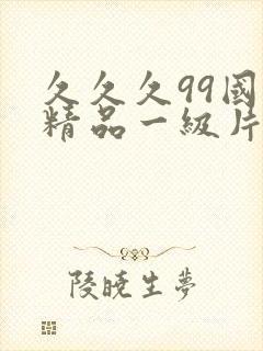 久久久99国产精品一级片