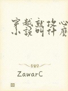 穿越就攻心原著小说叫什么