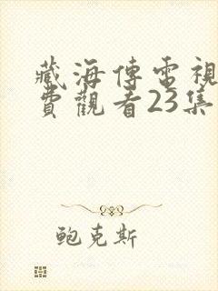 藏海传电视剧免费观看23集