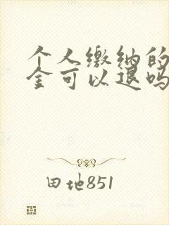 个人缴纳的社保金可以退吗