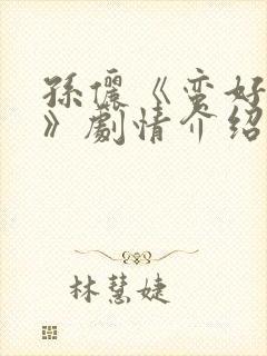 孙俪《蛮好人生》剧情介绍