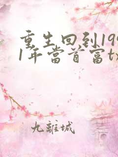 重生回到1991年当首富txt下载