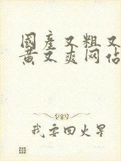 国产又粗又猛又黄又爽网站