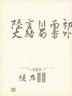 陆言川南初周辞大结局番外