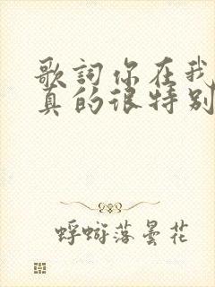 歌词你在我眼中真的很特别